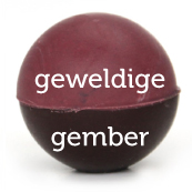 Geweldige gember bikkel