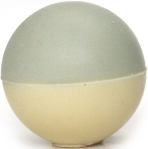 Magische mint