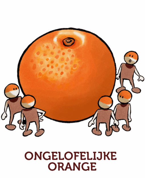 Ongelofelijke orange - Afbeelding 2