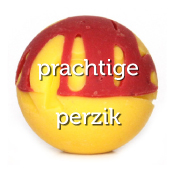 Prachtige Perzik bikkel