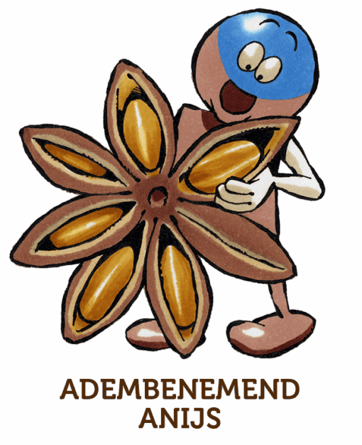 Adembenemend Anijs - Afbeelding 2